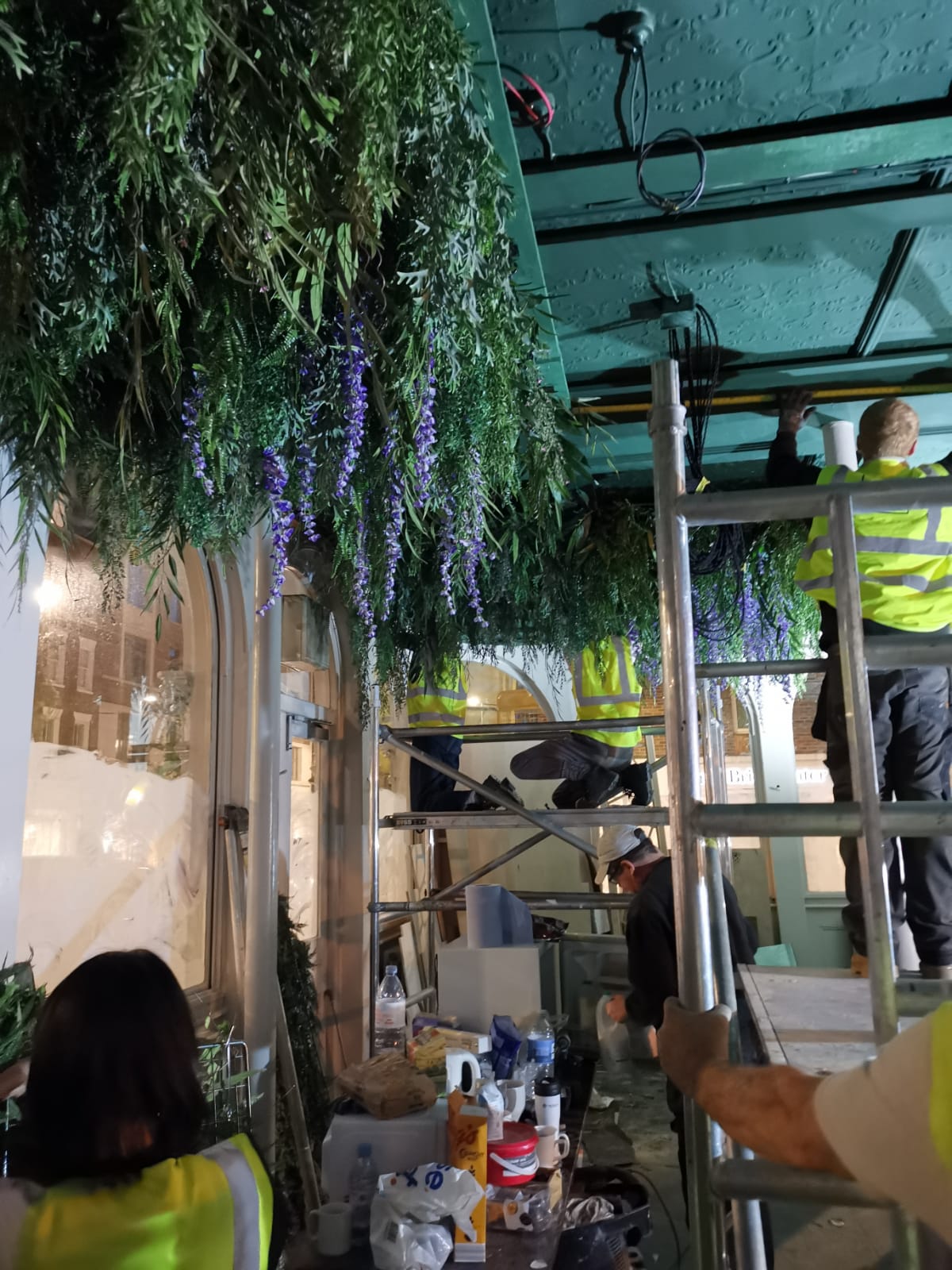 Hanging plants from cieling